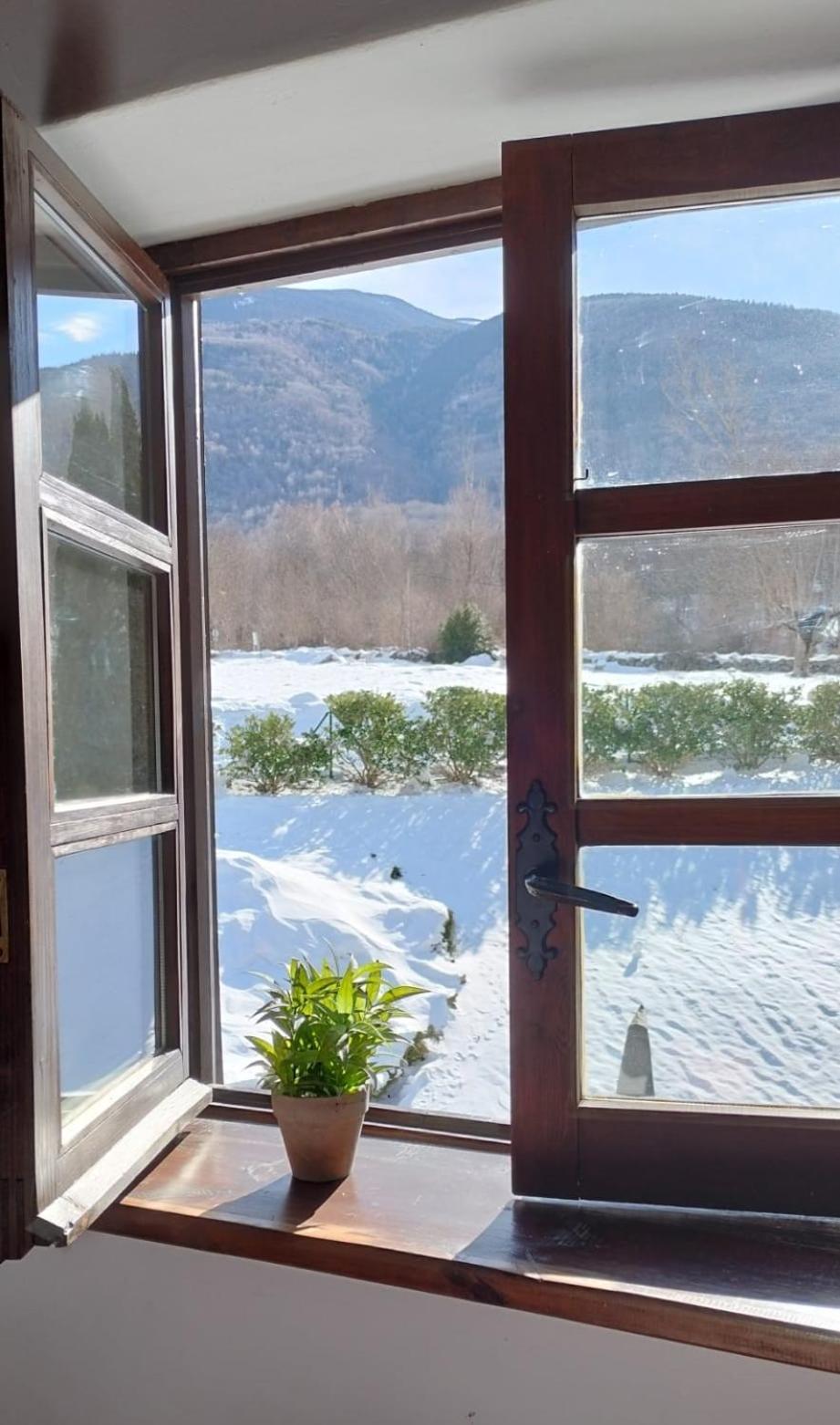 Apartamento De La Marmota Eriste Buitenkant foto